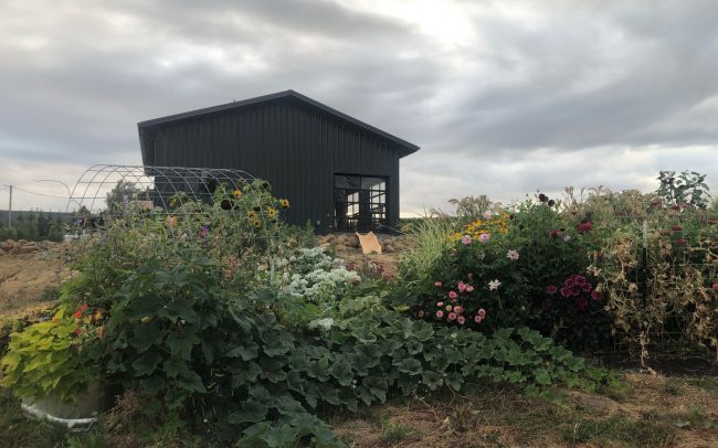 Outside view of the Bellingar Estates tasting room