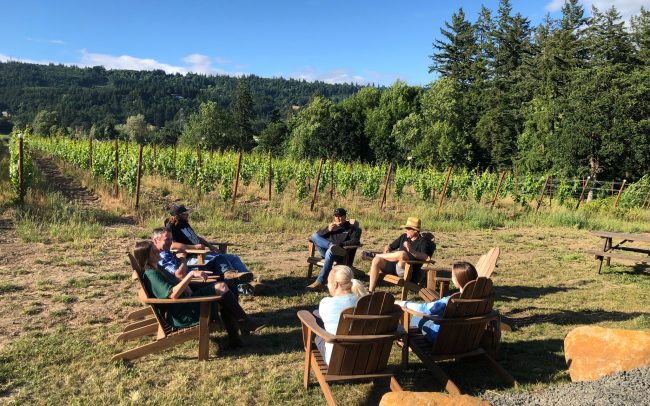 A group of people in adirondack chairs in the vineyard